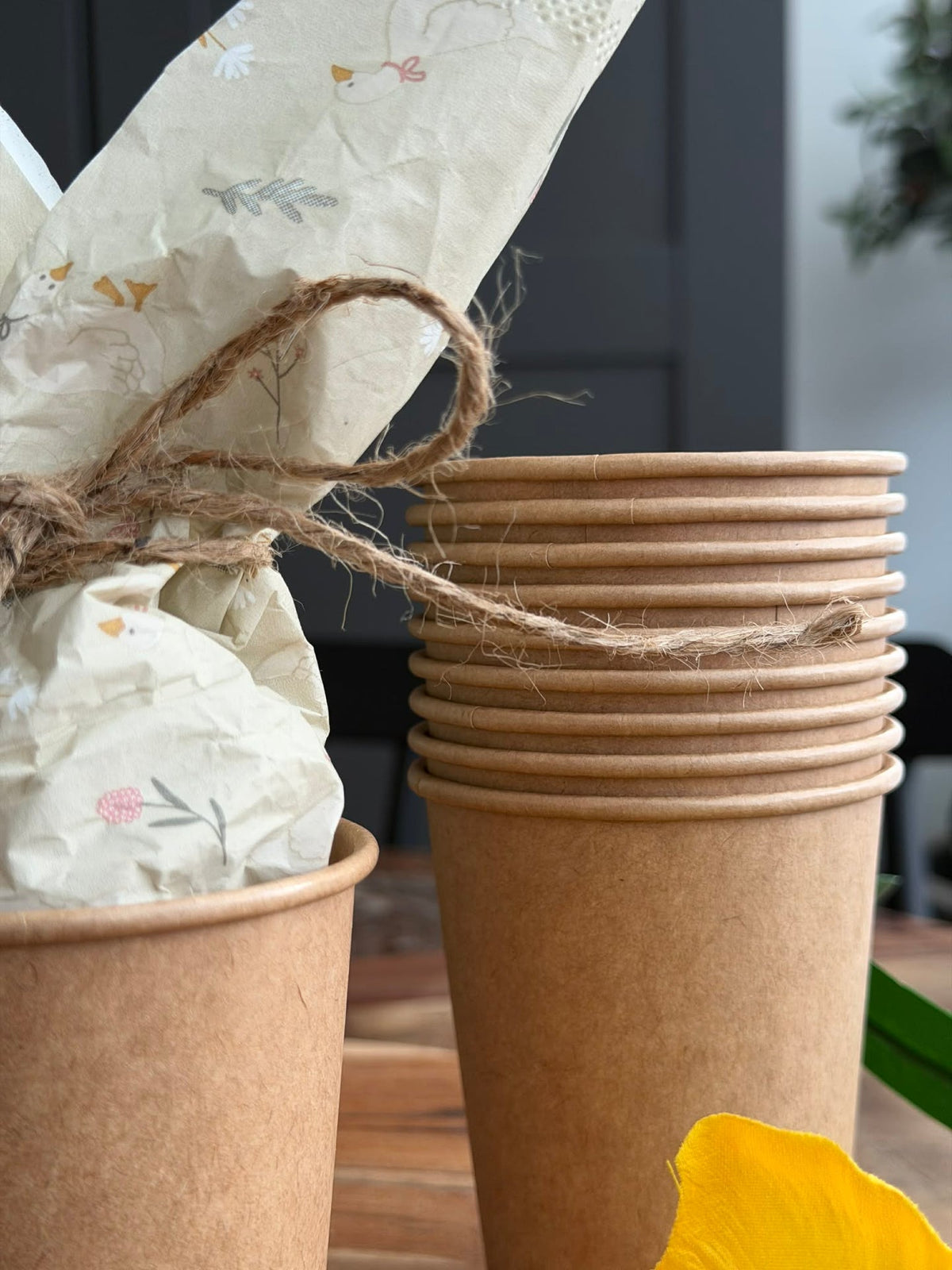 Bekers 10 stuks - Karton 250 ml
