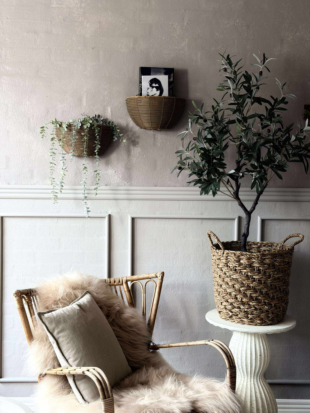 Plantenmand Rotan