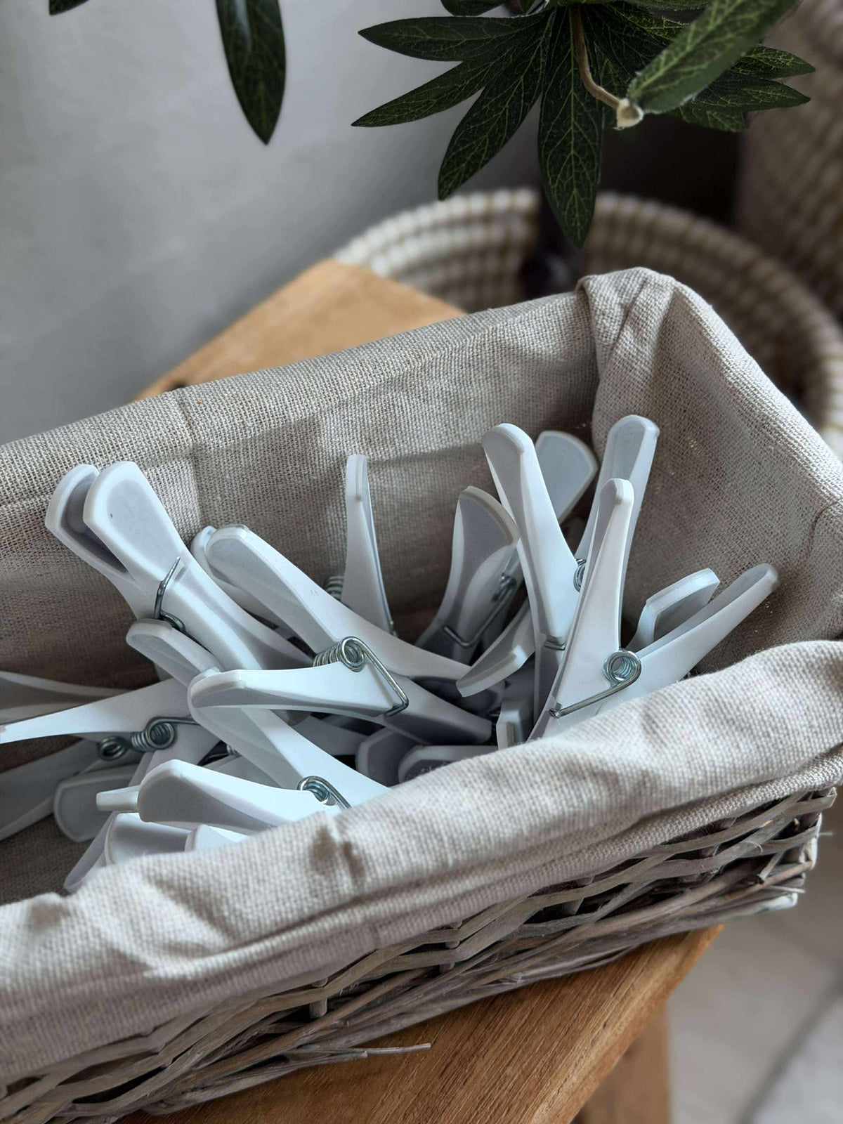 Wasknijpers 18 stuks