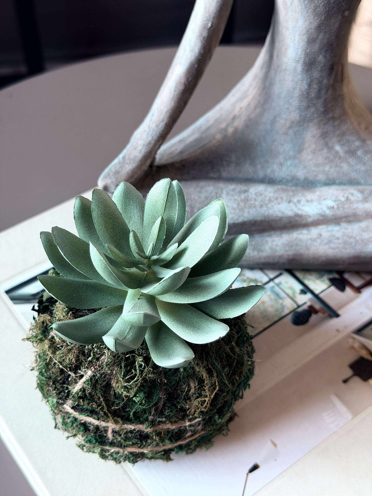 Bloem vetplant mosbal