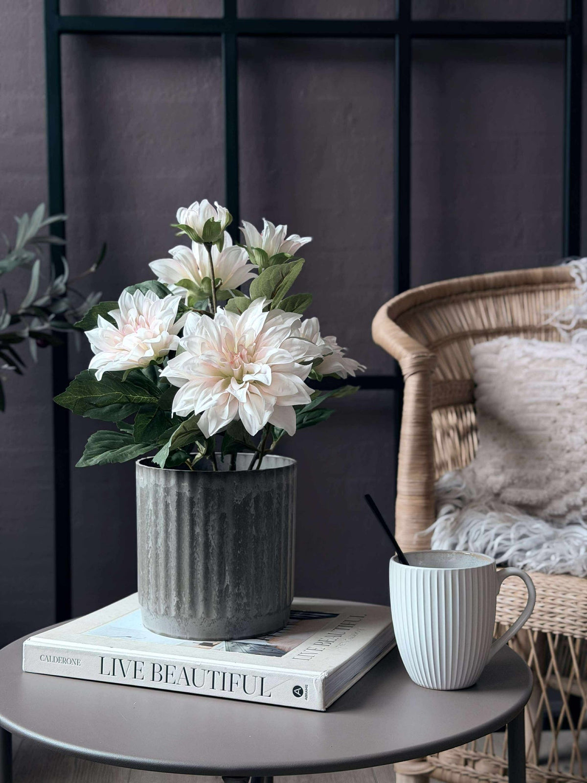 Dahlia in pot - Wit