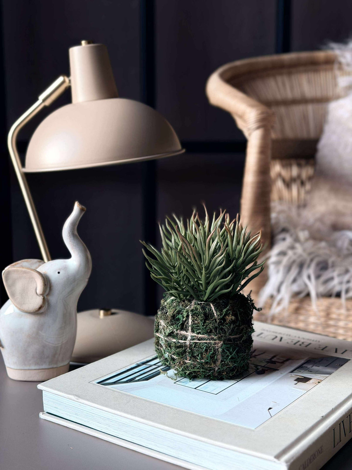 Bloem vetplant mosbal