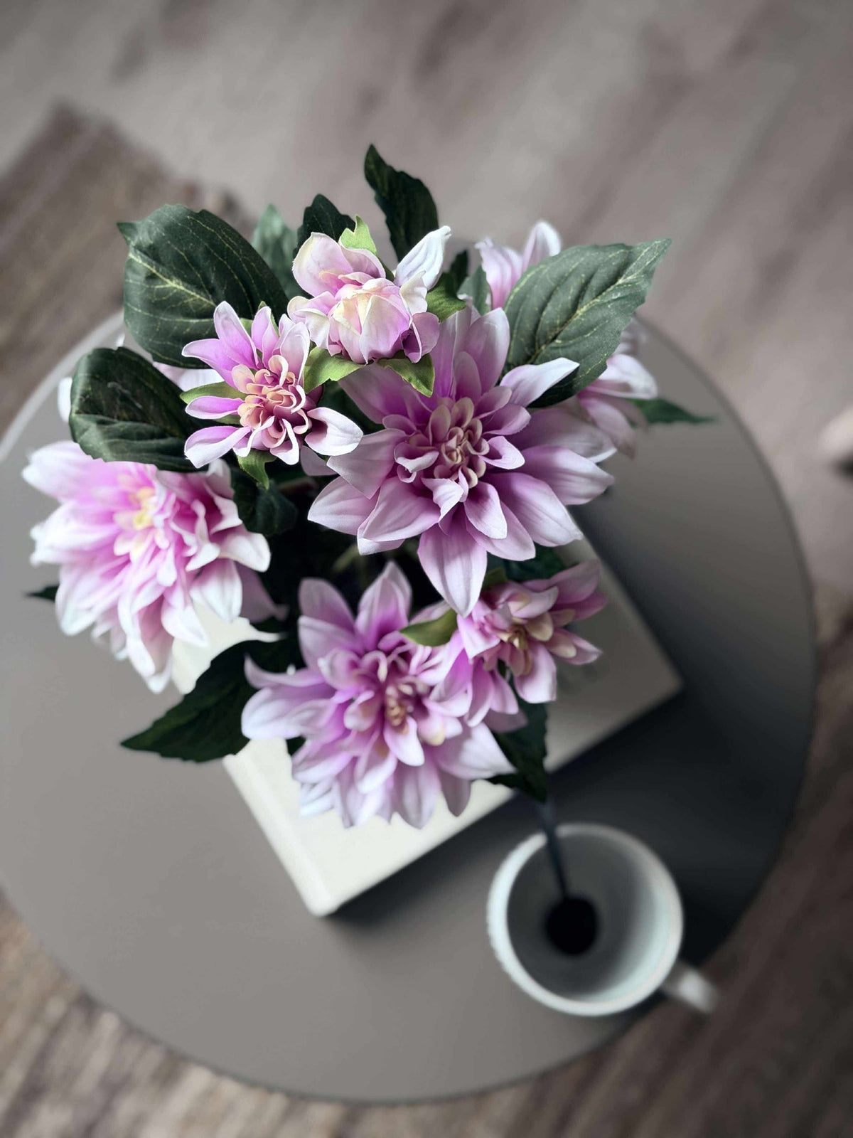 Dahlia in pot - Roze