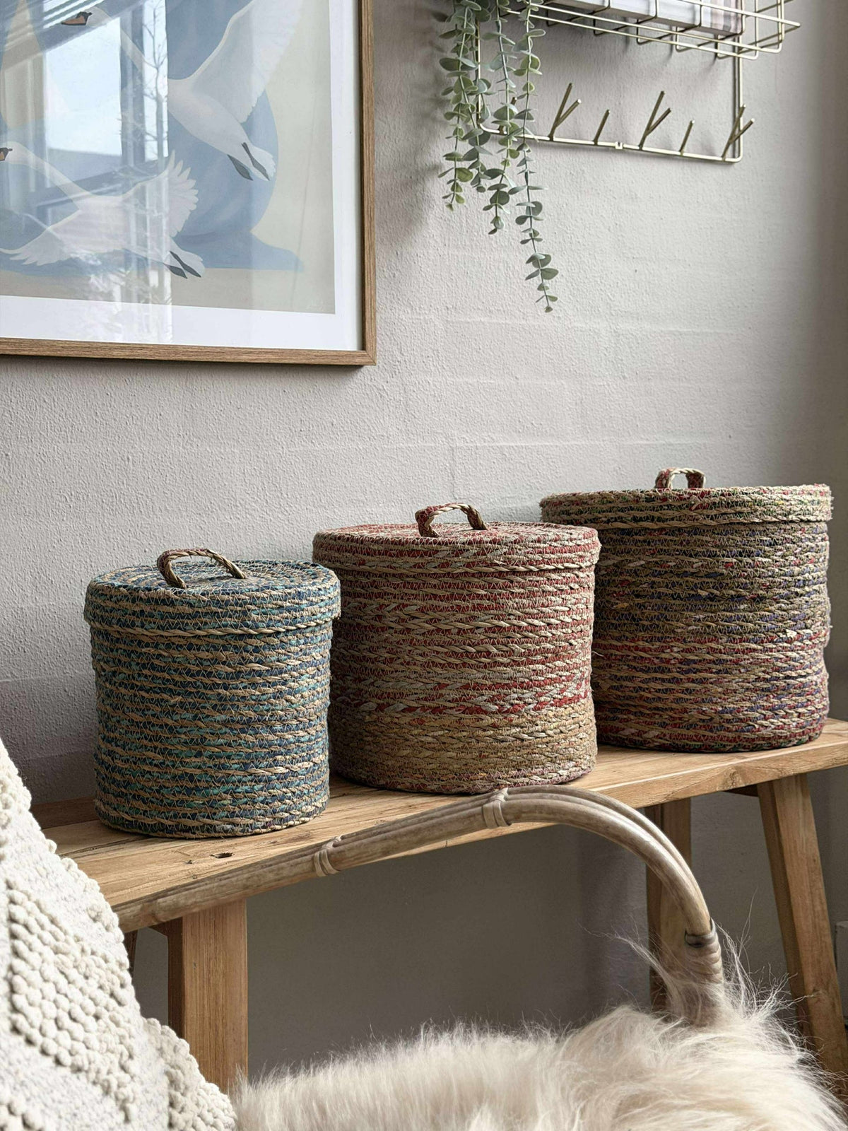Manden met deksel COLOR - Set van 3 stuks