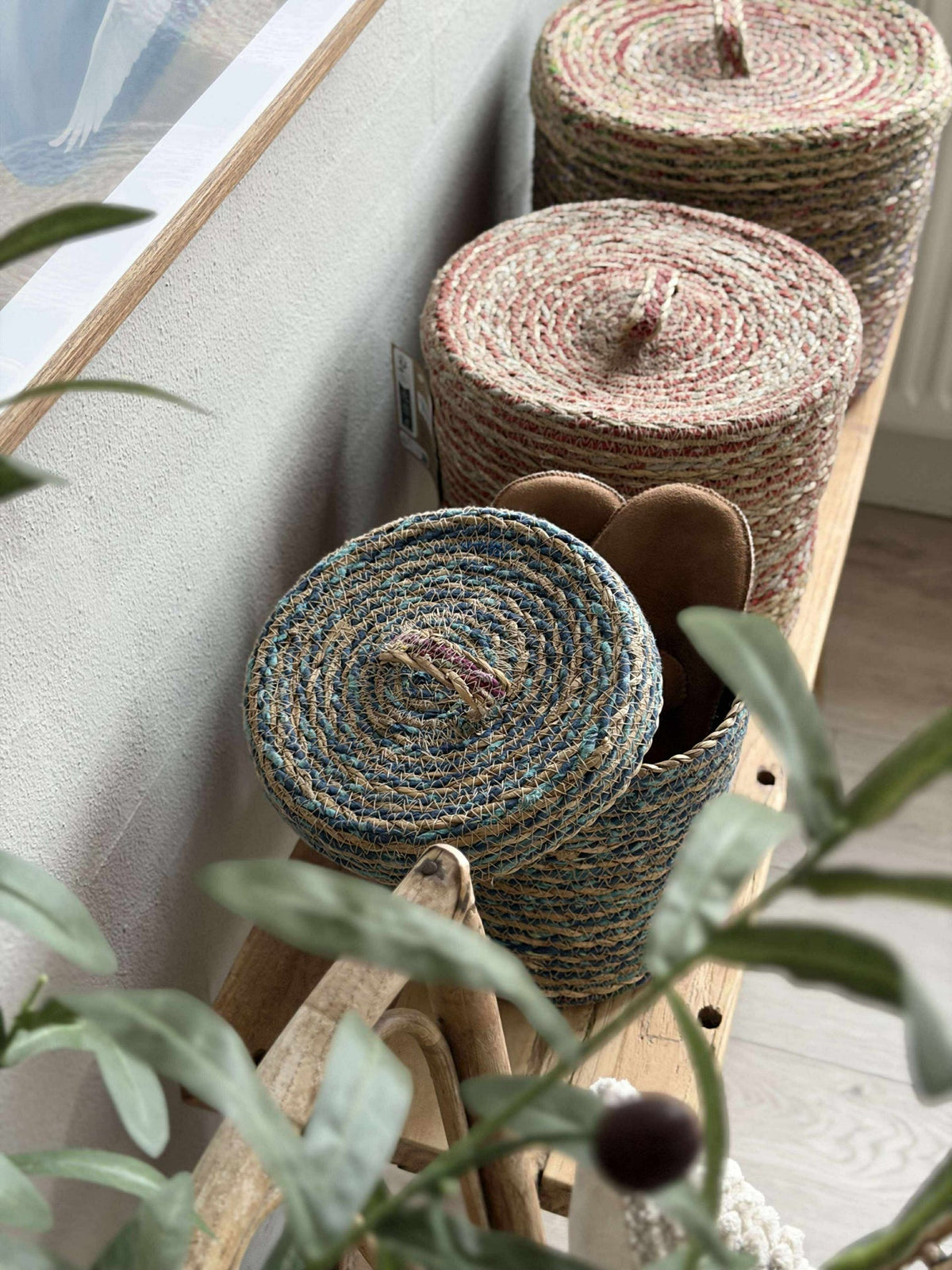 Manden met deksel COLOR - Set van 3 stuks