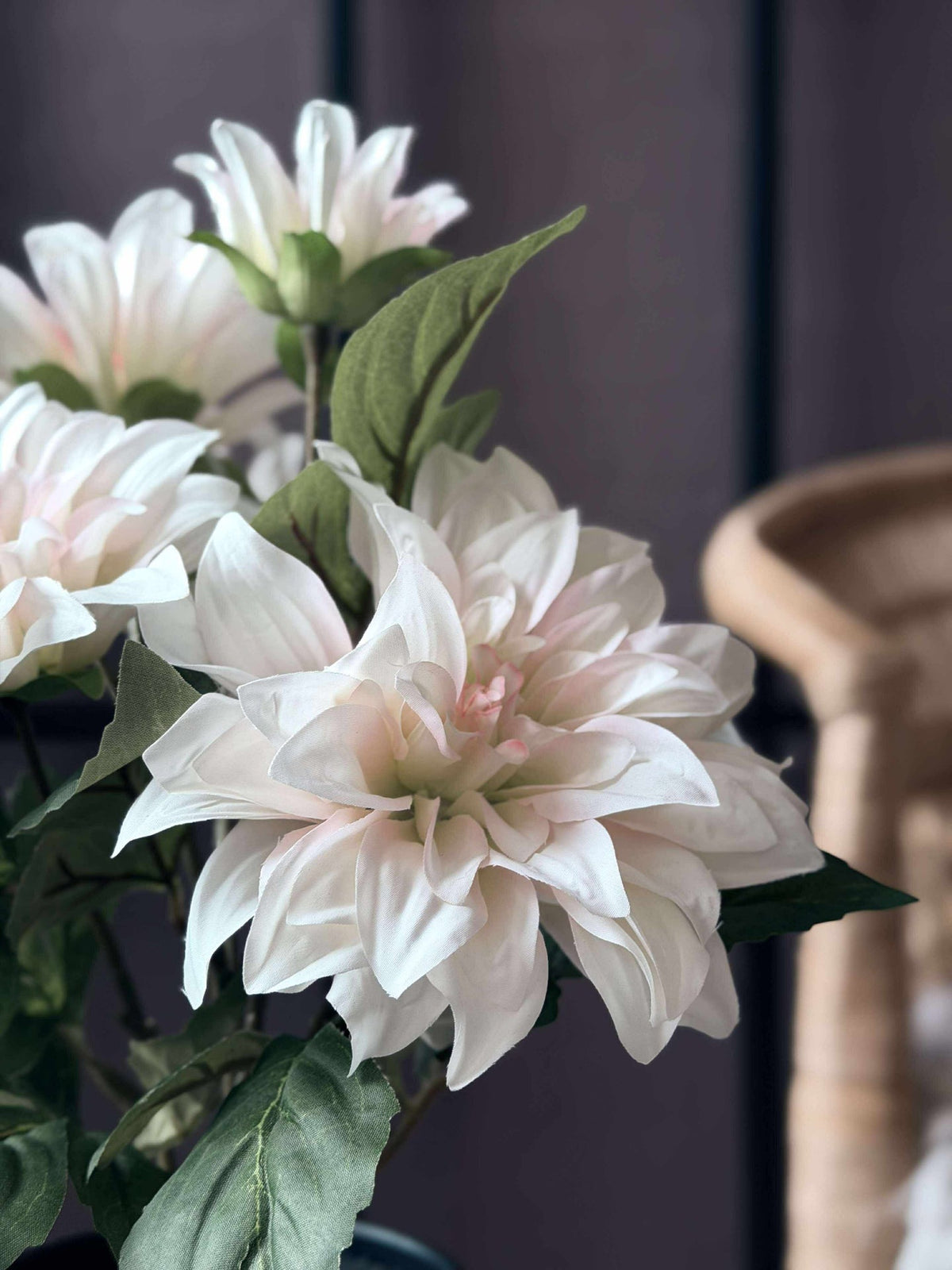 Dahlia in pot - Wit