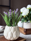 Lavendel mosbal