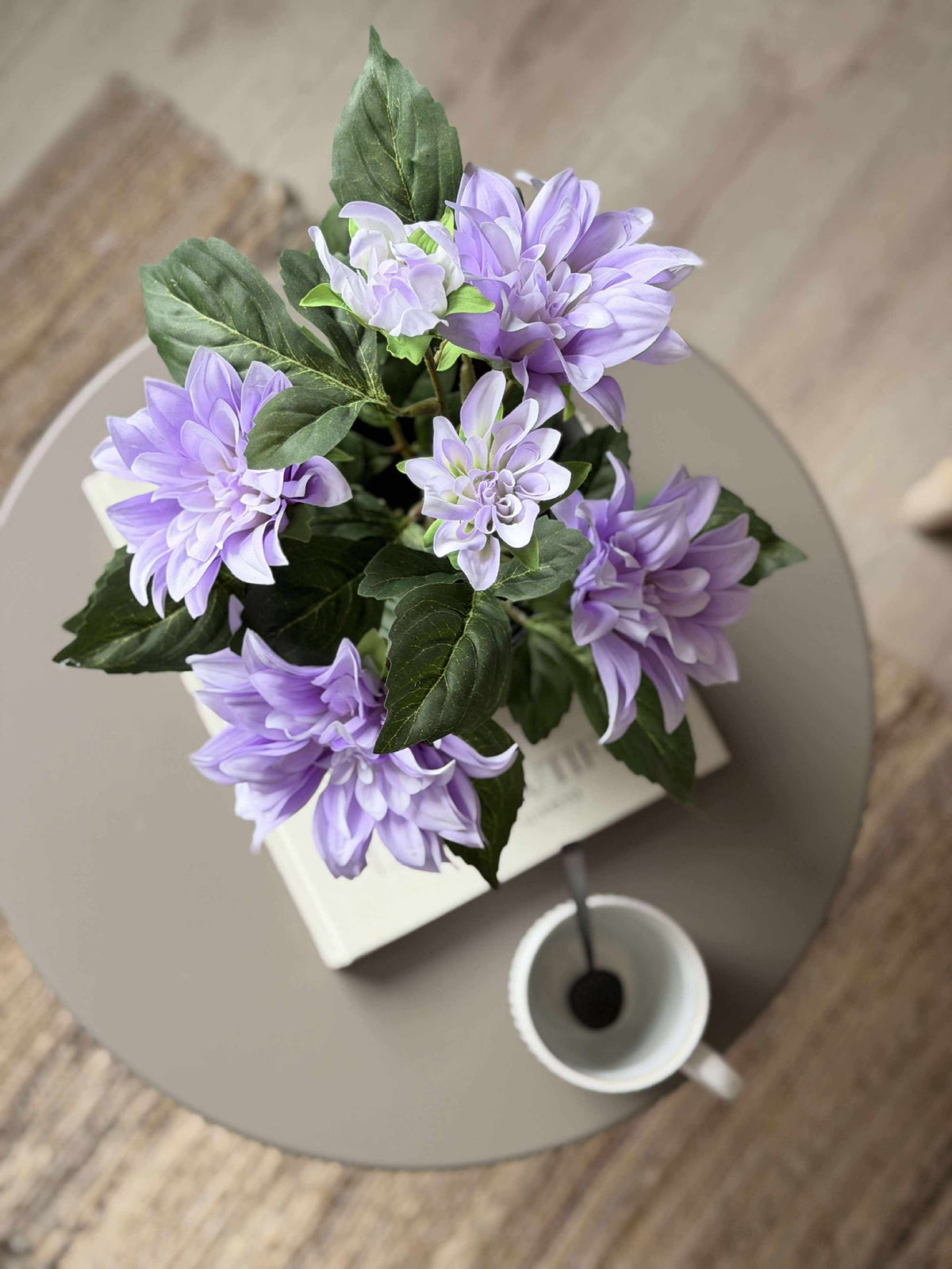 Dahlia in pot - Paars