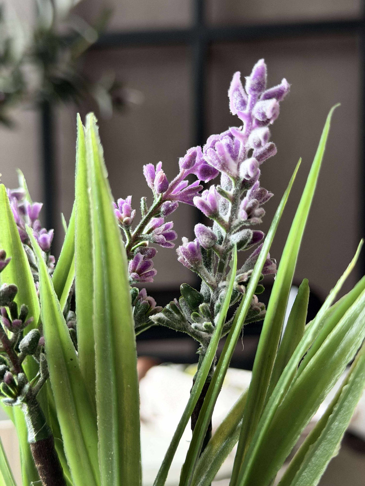 Lavendel mosbal