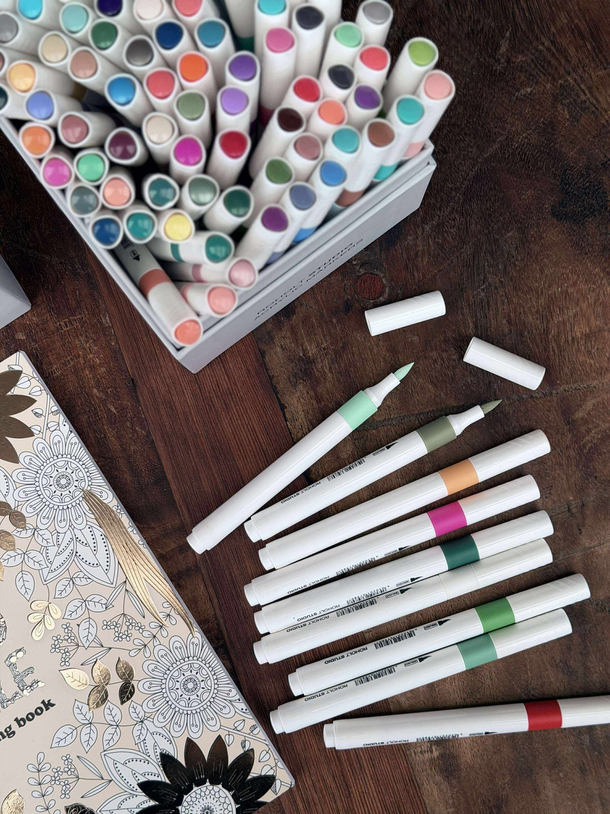 Acryl Markers - 100 stuks. Geschikt voor steenschilderen