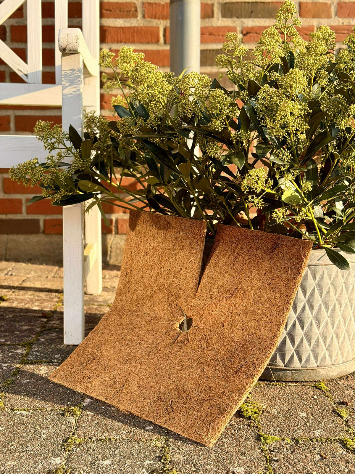 Plantbescherming Kokos - Set met 3 stuks
