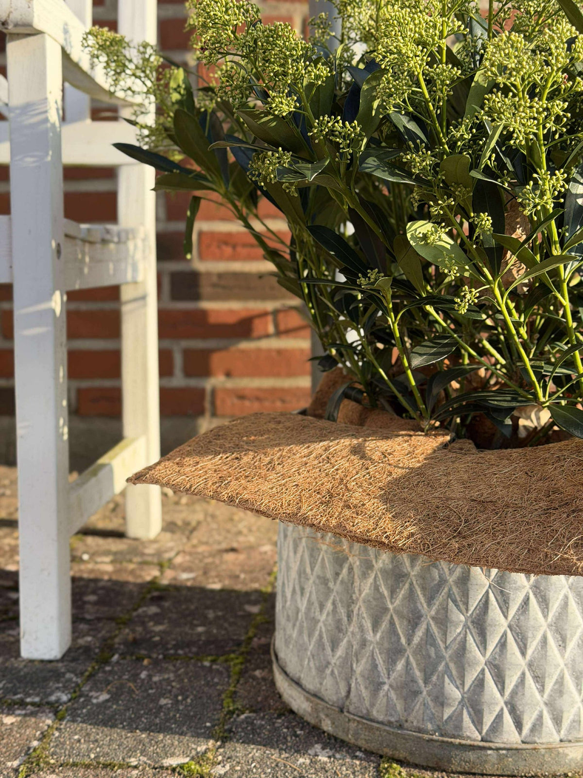 Plantbescherming Kokos - Set met 3 stuks