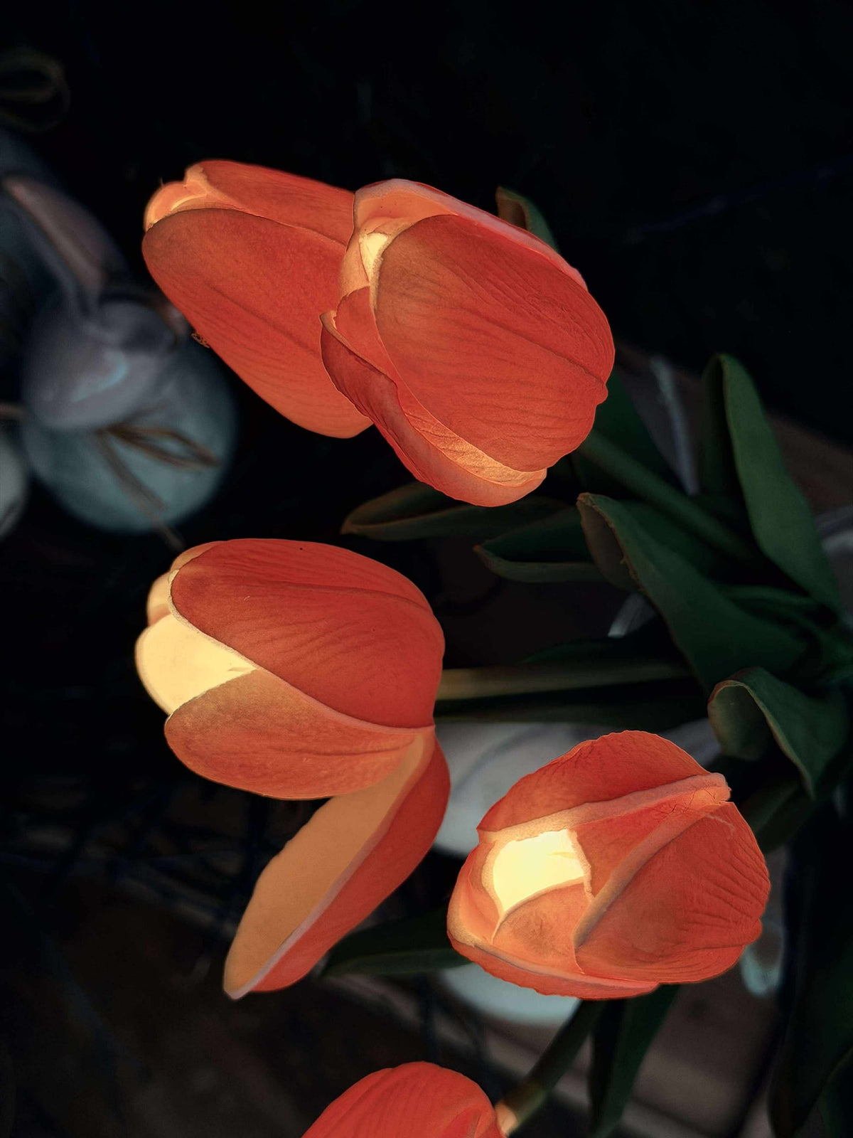 Tulpen met licht - Rood