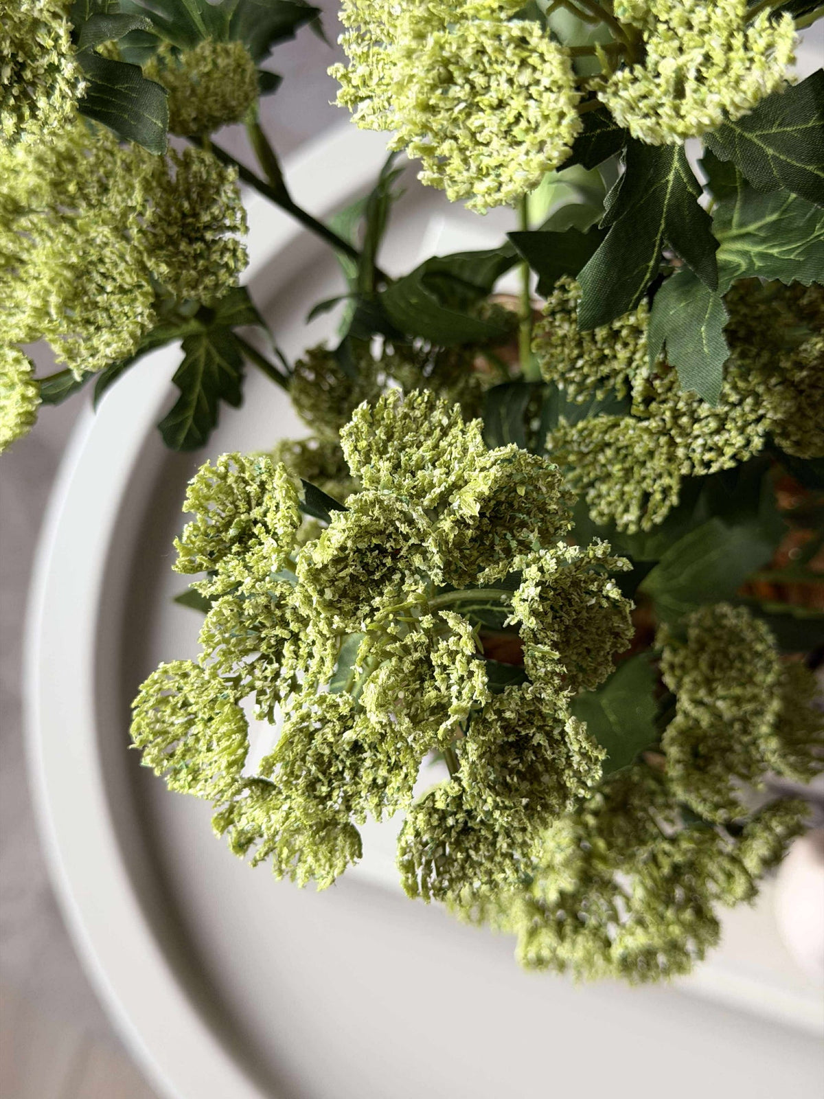 Bloemensteel - Lime