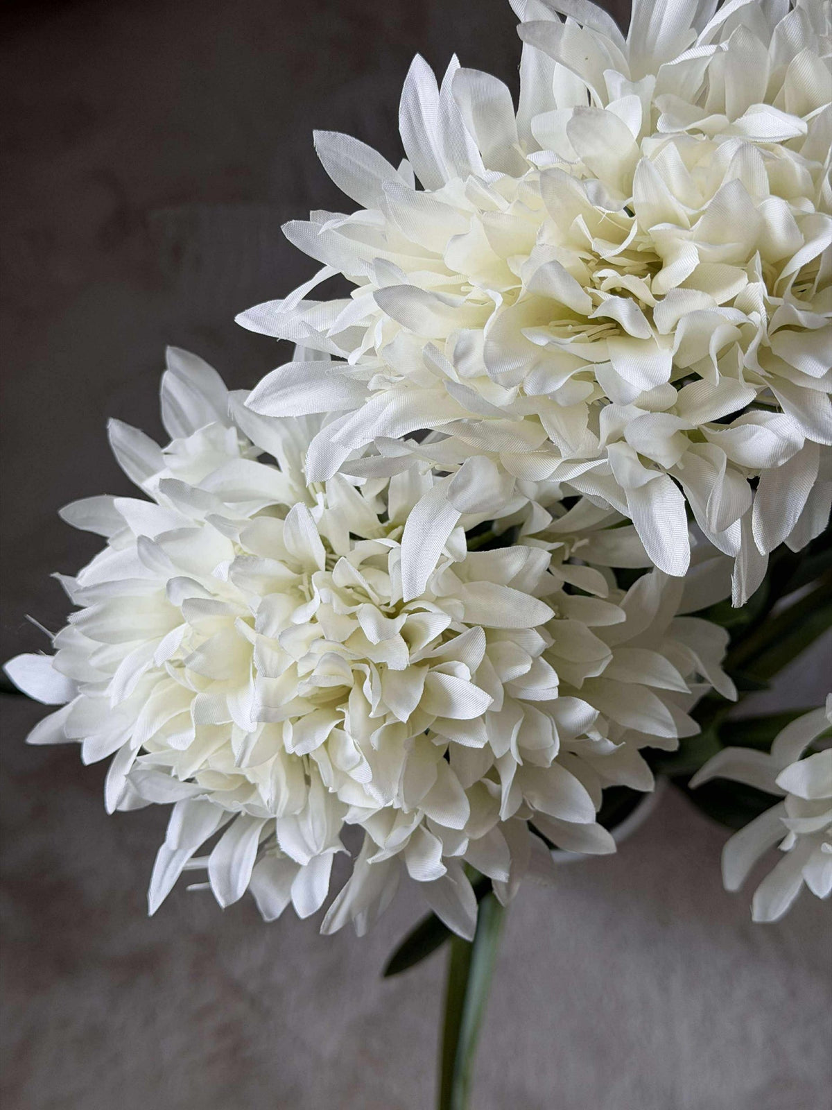 Agapanthus 80cm - meerdere kleuren