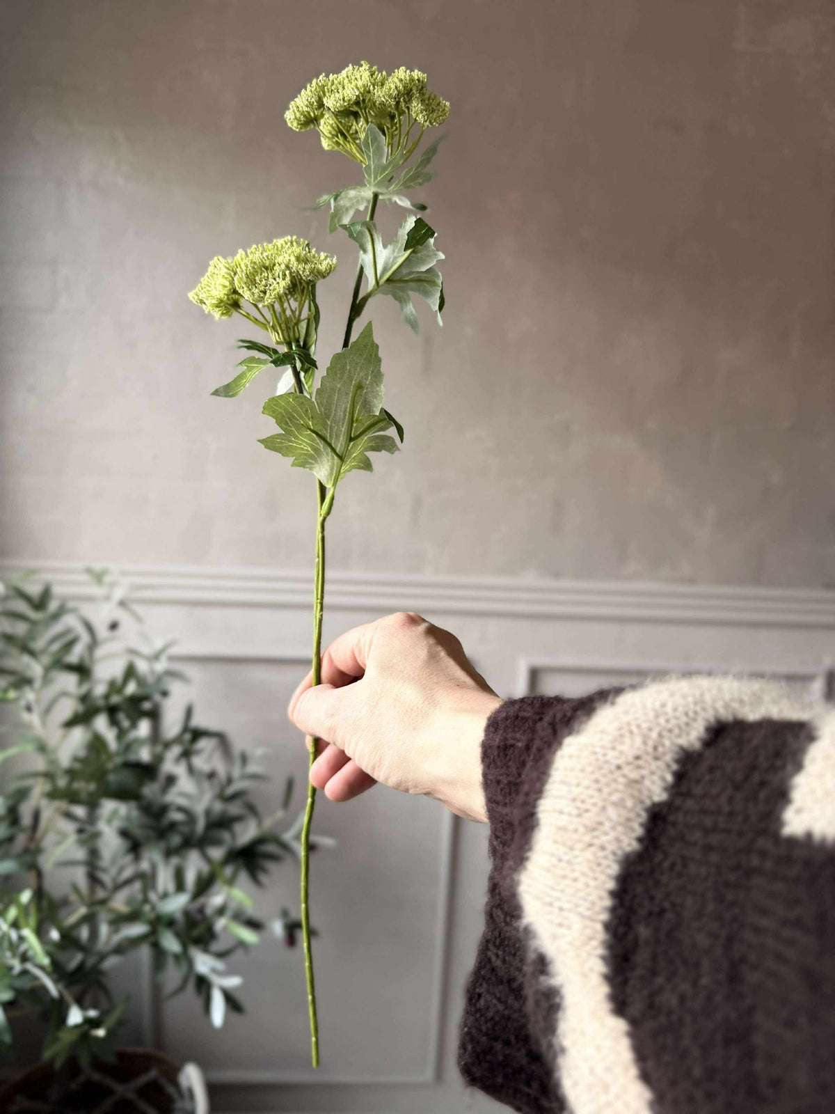 Bloemensteel - Lime