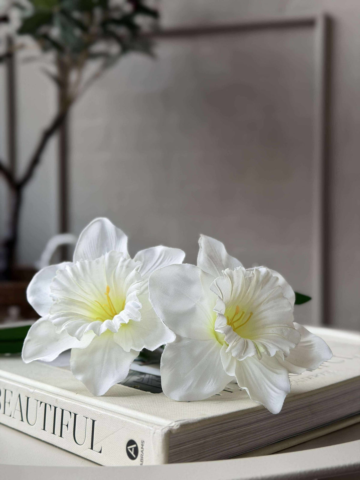 Narcisstengel - Wit