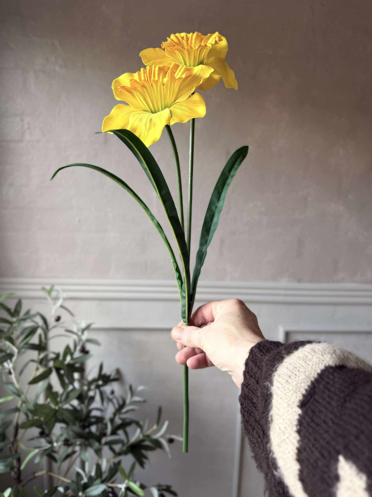 Narcis - Geel