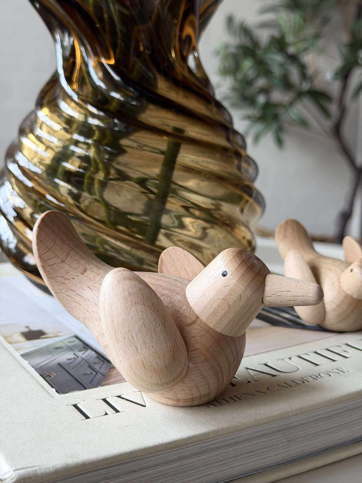 Liggende vogel - Natur beuken groot
