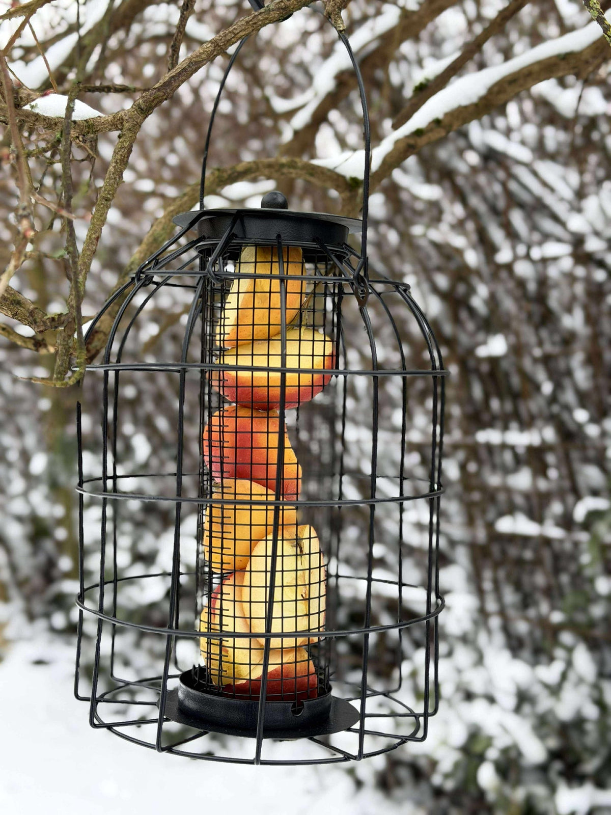 Ophang voor vogelvoer