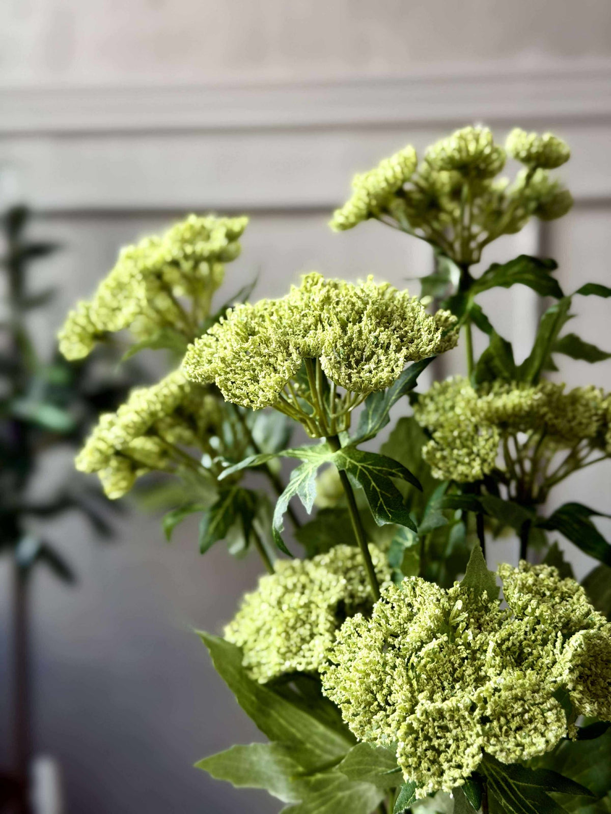 Bloemensteel - Lime