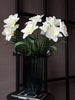 Narcisstengel - Wit