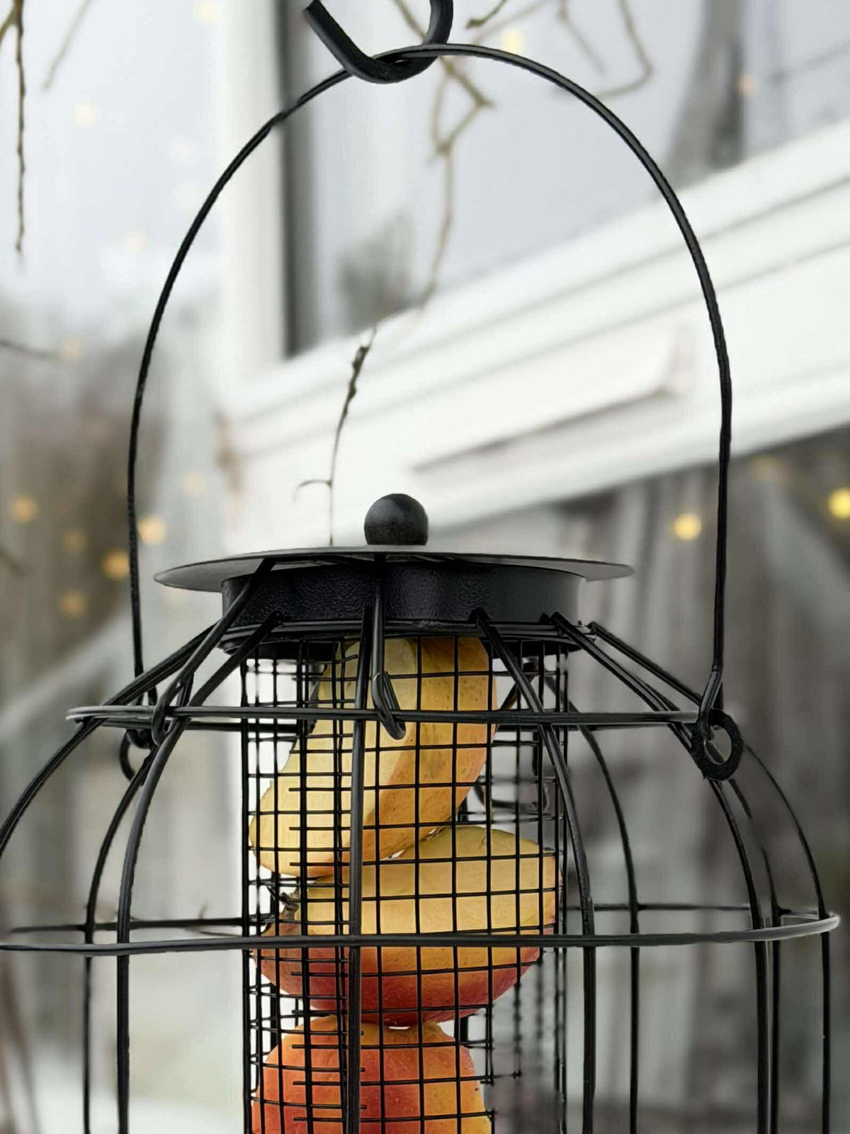 Ophang voor vogelvoer