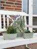 Zinken teilen met houten handgreep - Set van 3 st.