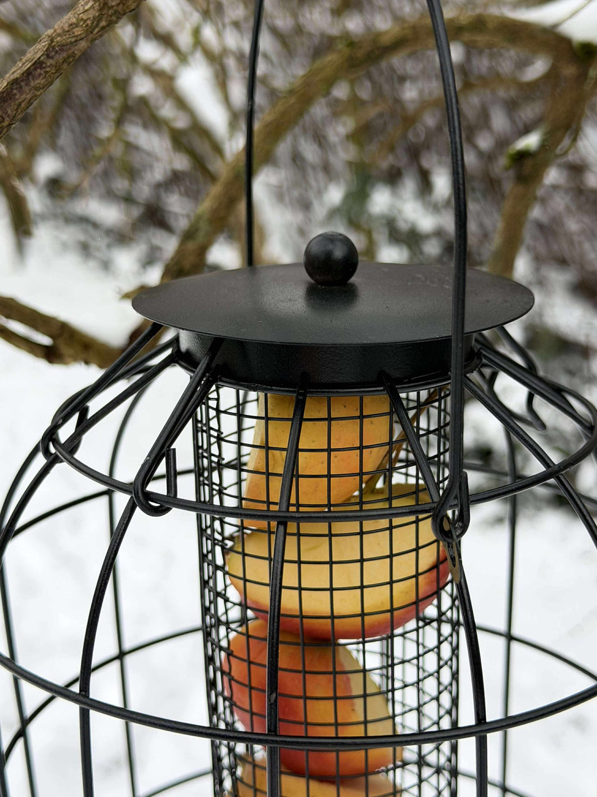 Ophang voor vogelvoer