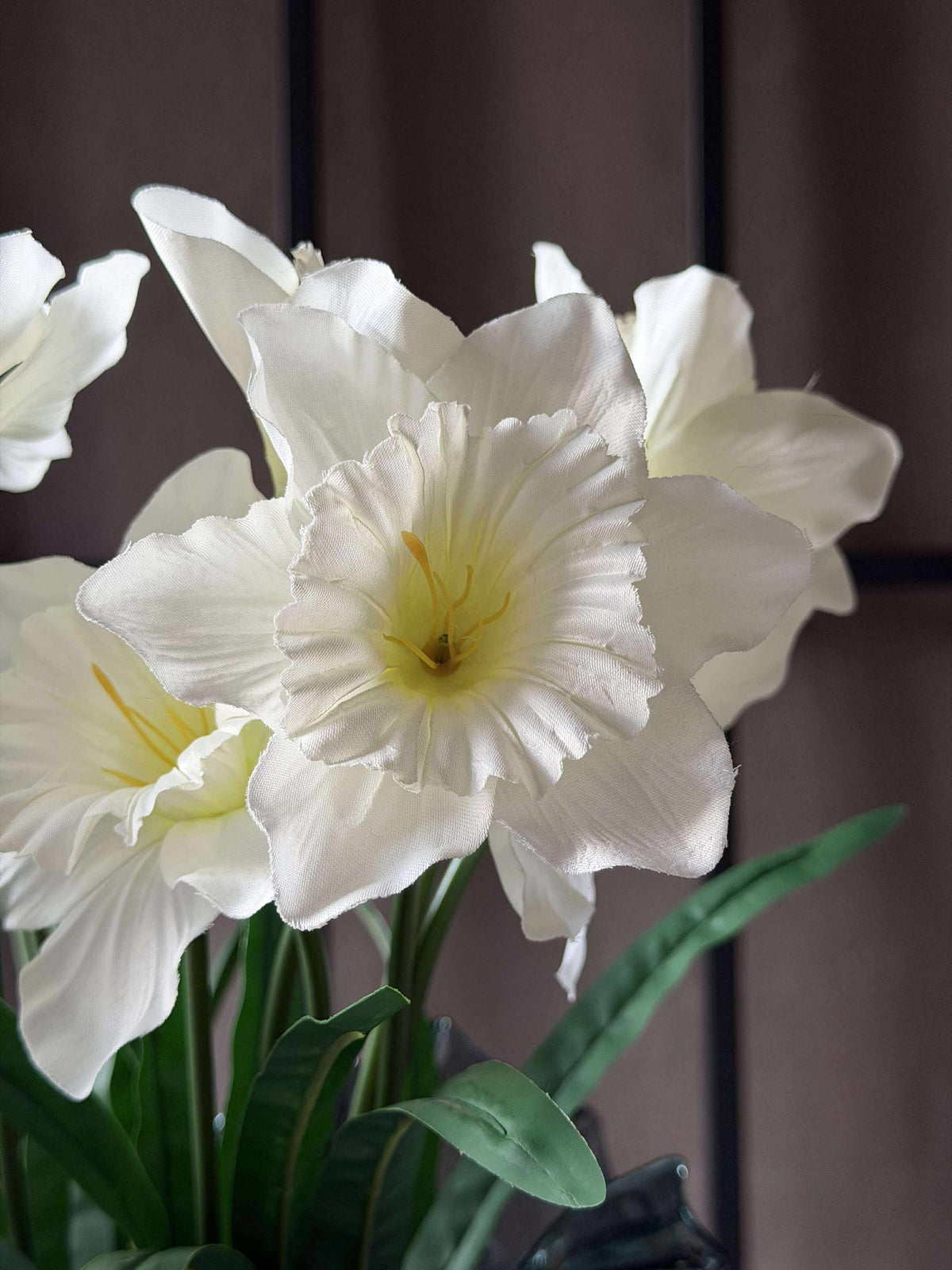 Narcisstengel - Wit