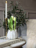 Tulp in pot - Wit Met 3 Bloemen