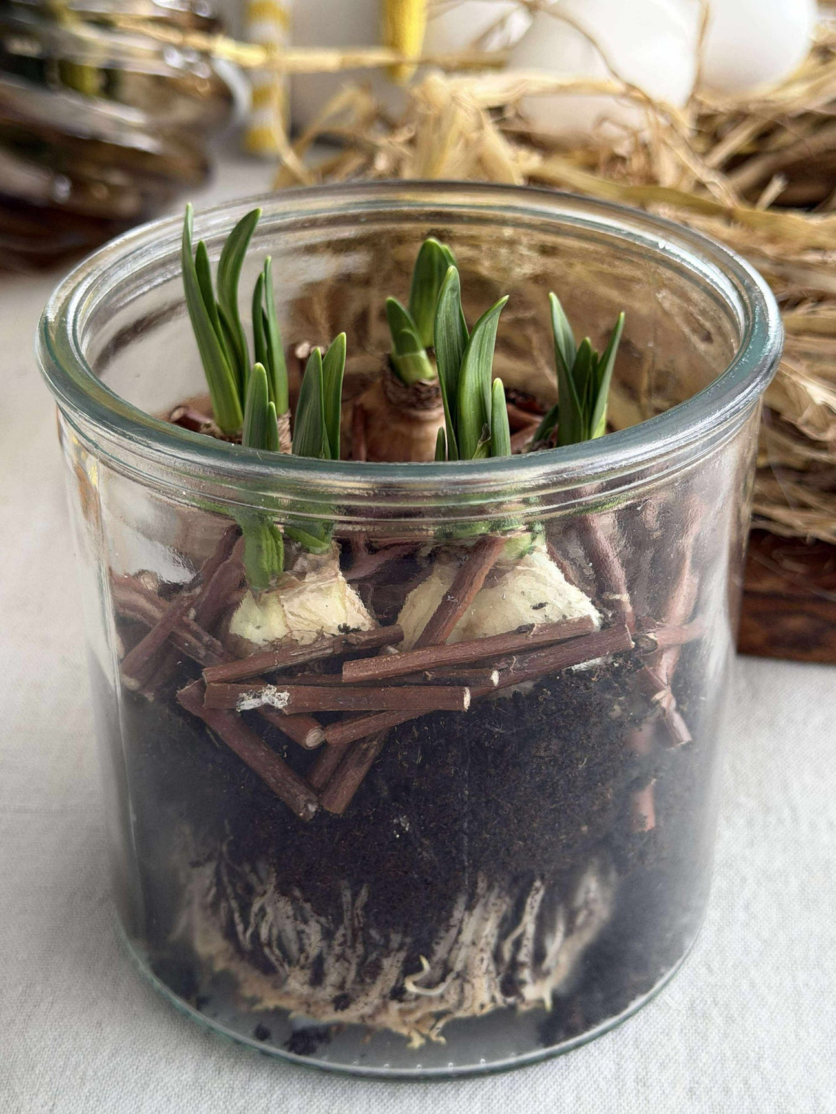 Glas voor decoratie