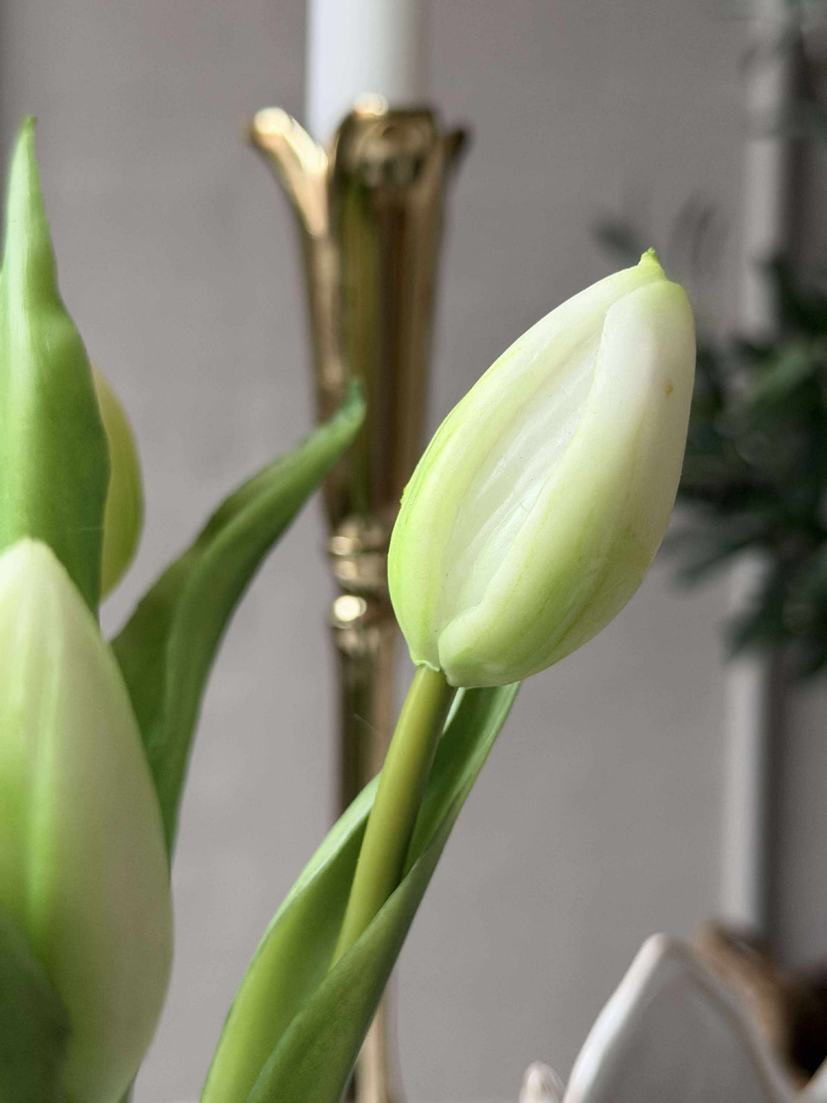 Tulp in pot - Wit