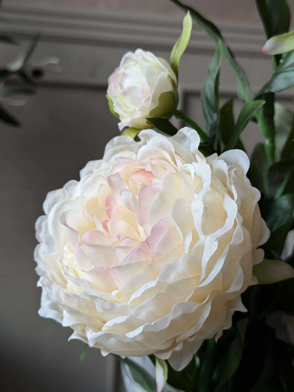 Pioen 60 cm - Meerdere kleuren