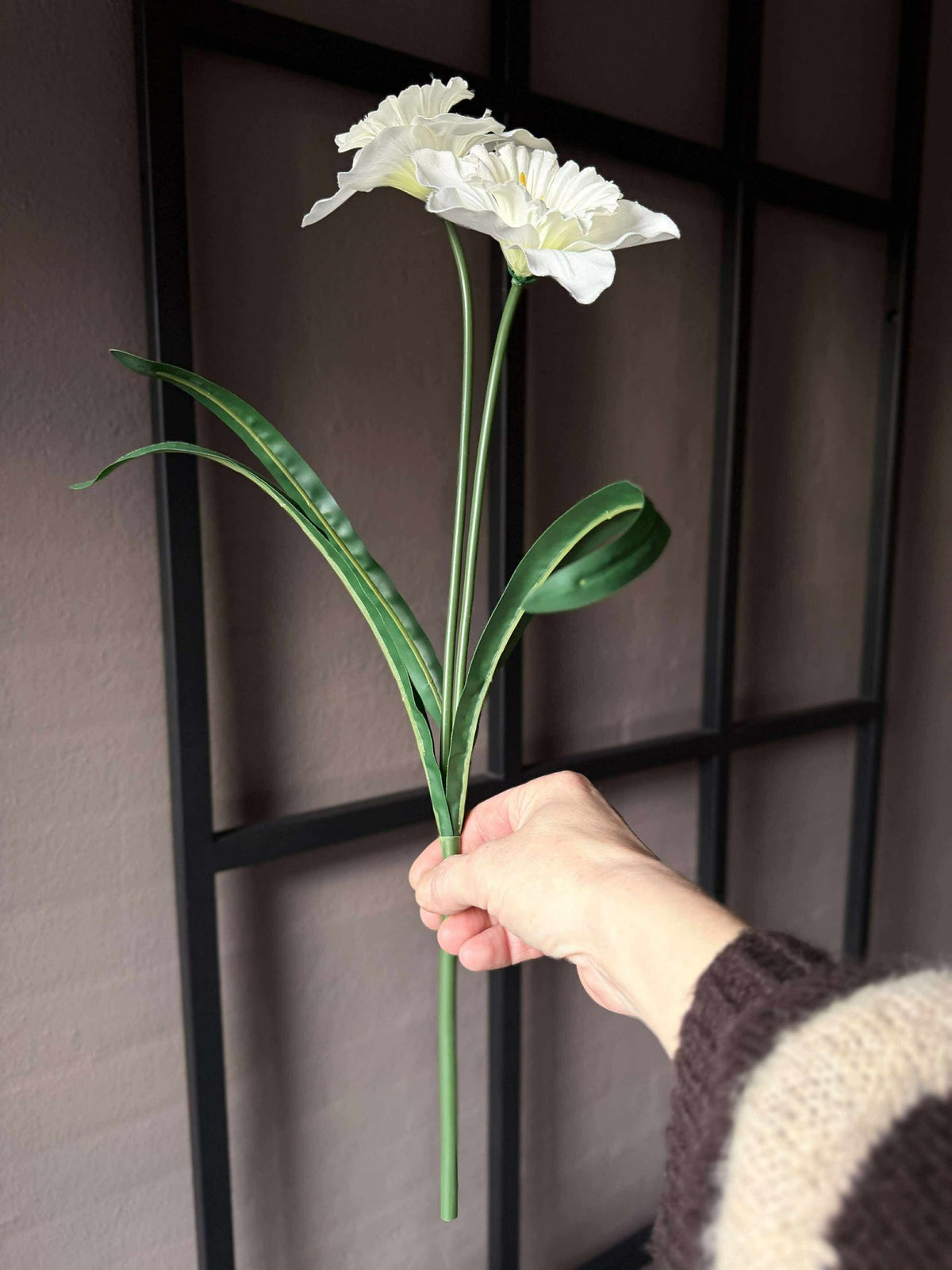 Narcisstengel - Wit
