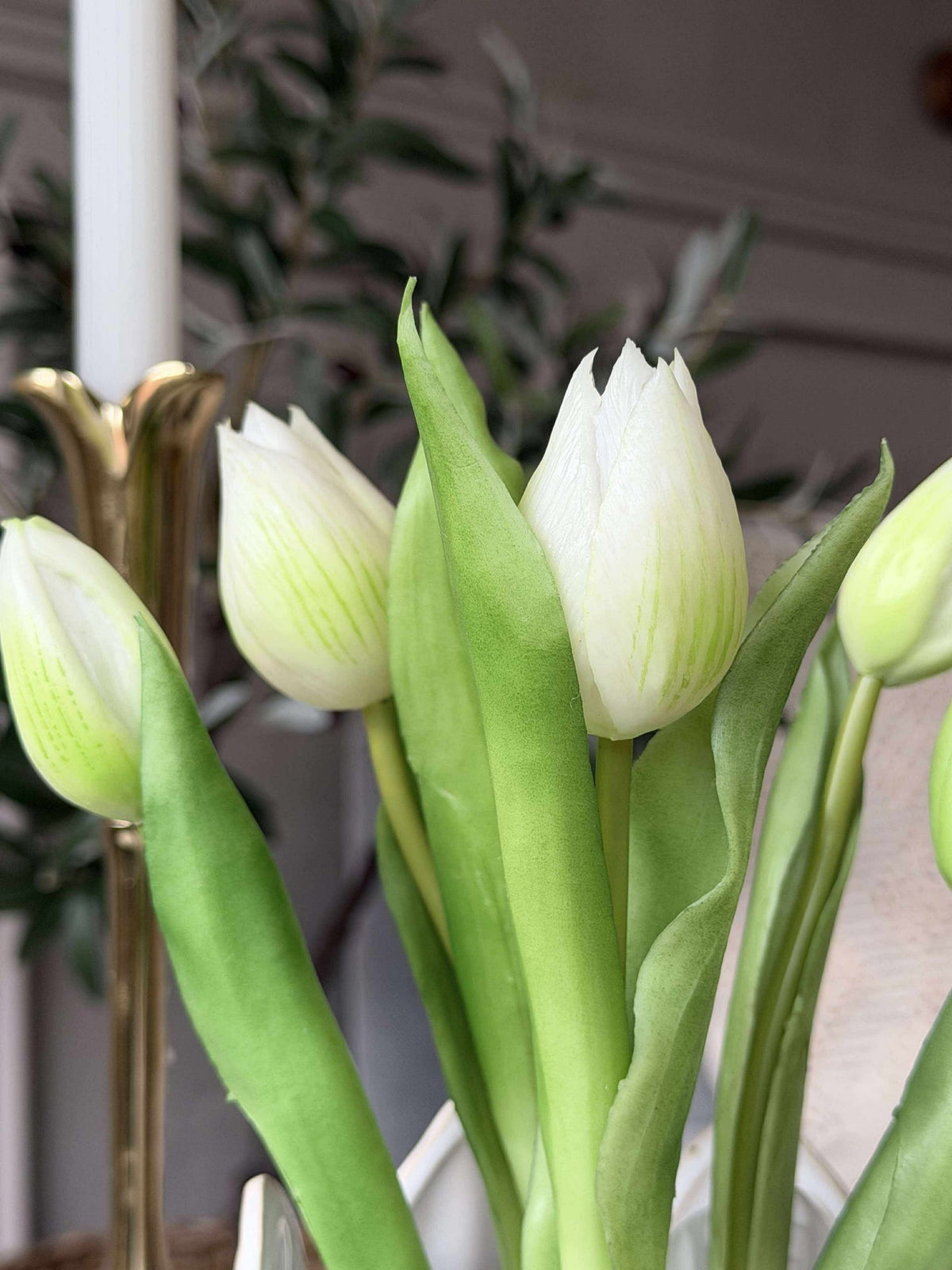 Tulp in pot - Wit