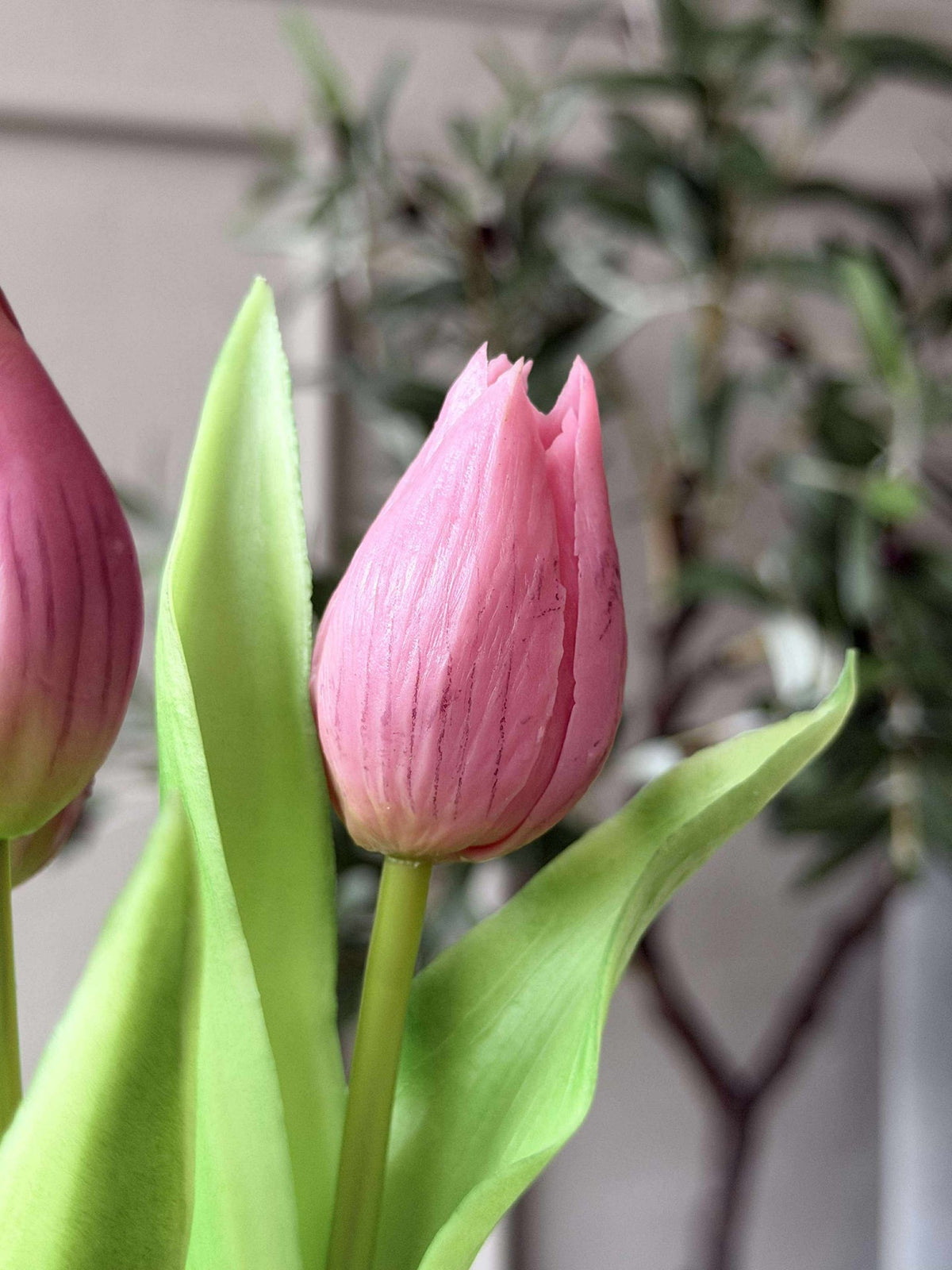 Tulip in pot - Donkerroze