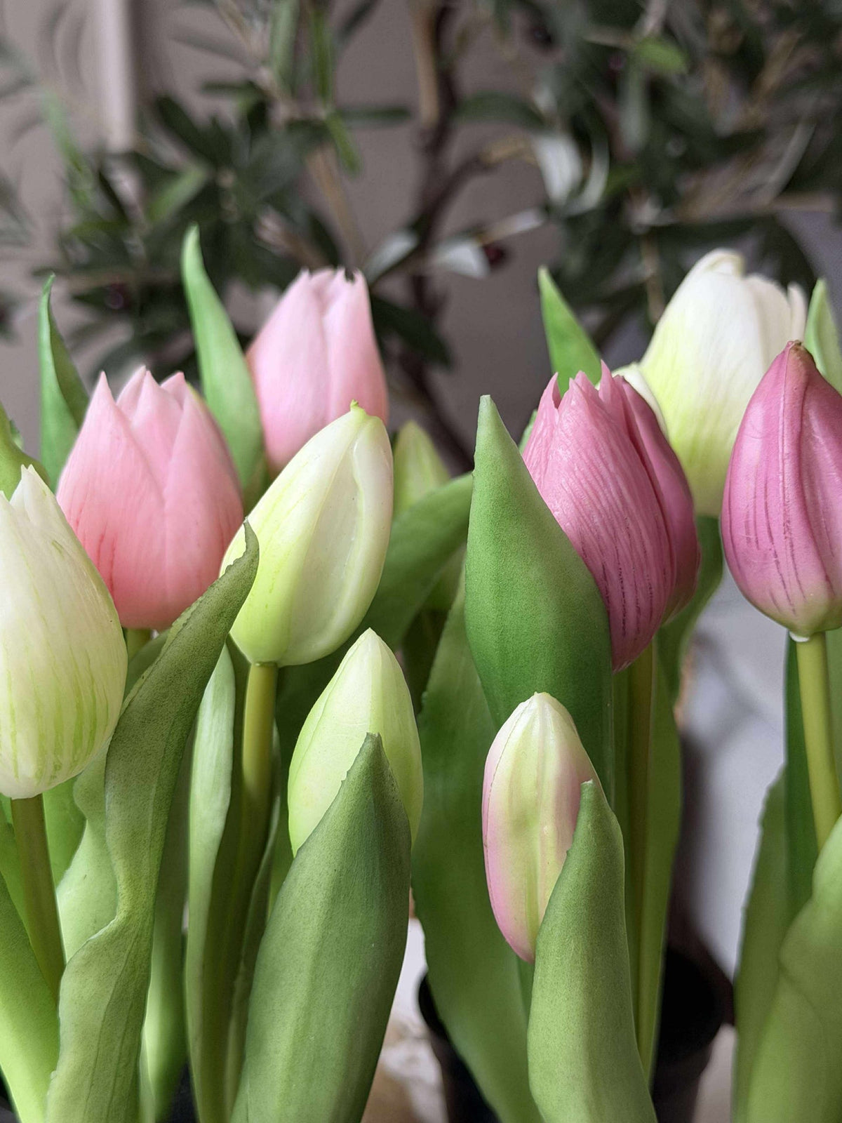 Tulp in pot - Wit Met 3 Bloemen