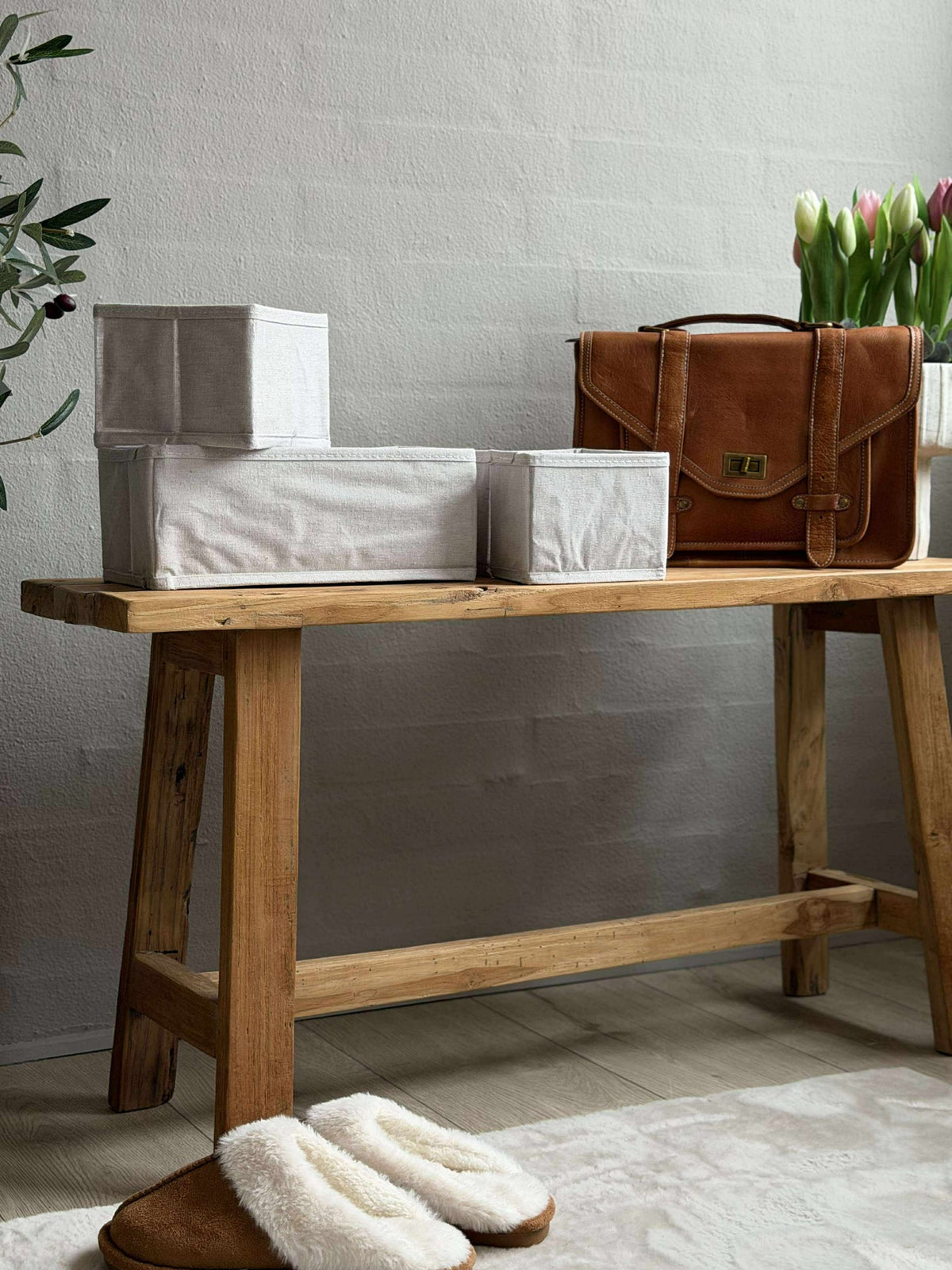 Opberging BELLA set met 3 dozen