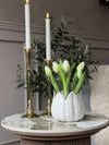 Tulp in pot - Wit