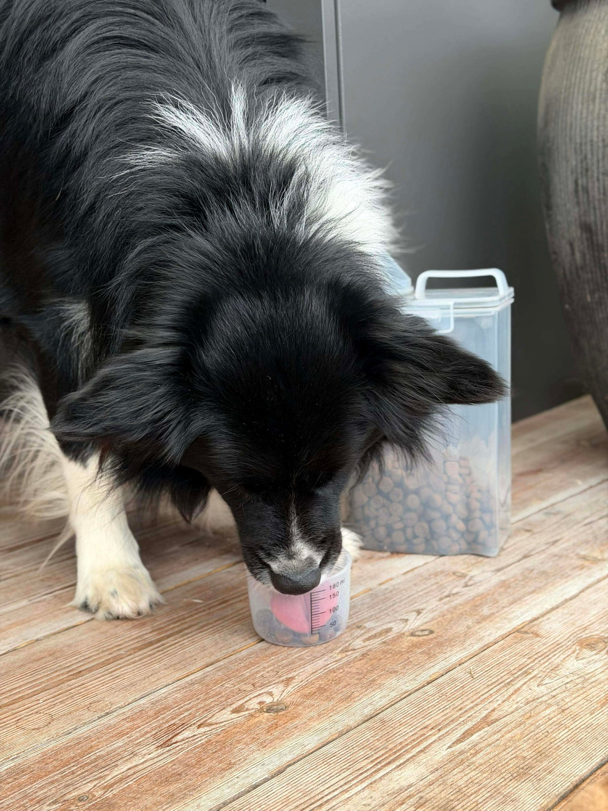 Bewaardoos m. Maatbeker voor dierenvoer