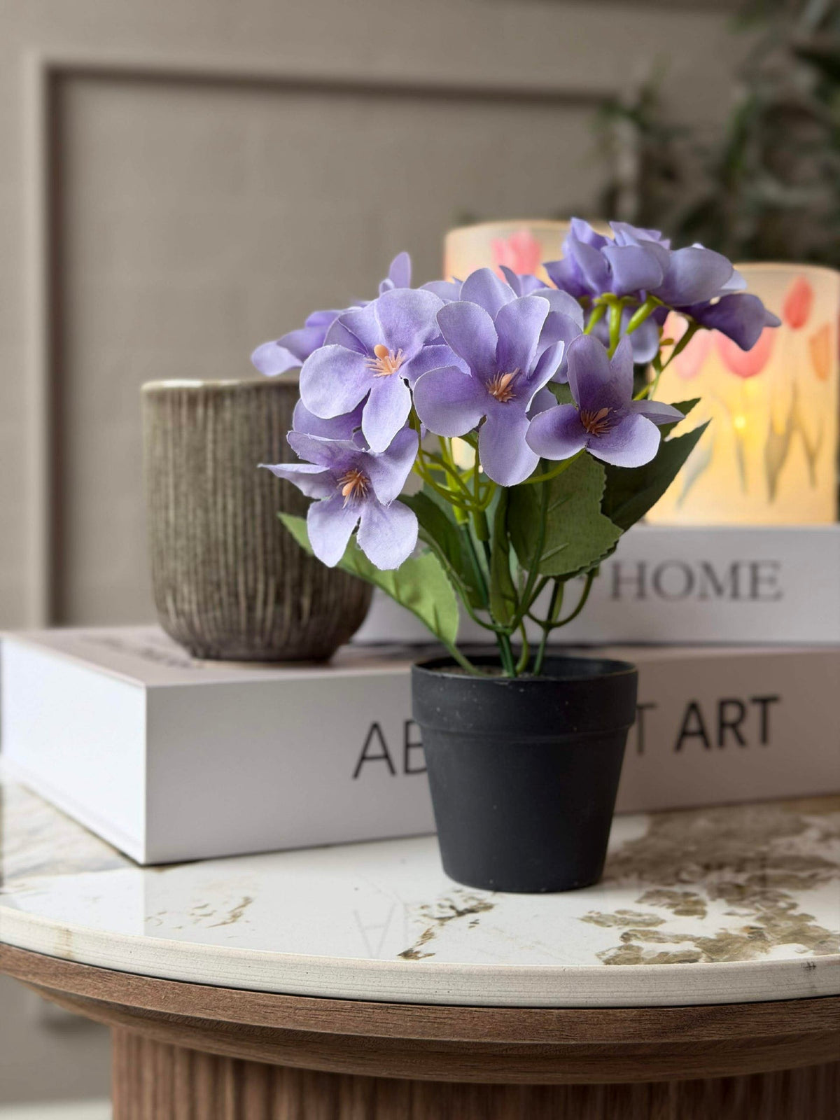 Mini hortensia in pot - meerdere kleuren