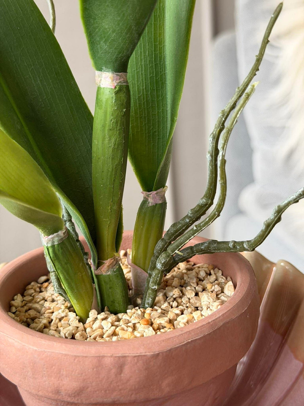 Orchidee in Pot Roze - Meerdere maten
