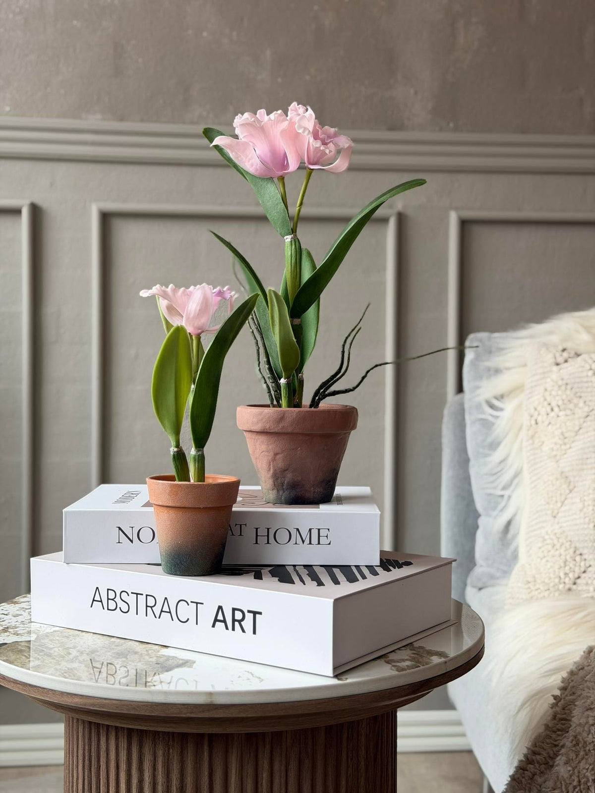 Orchidee in Pot Roze - Meerdere maten