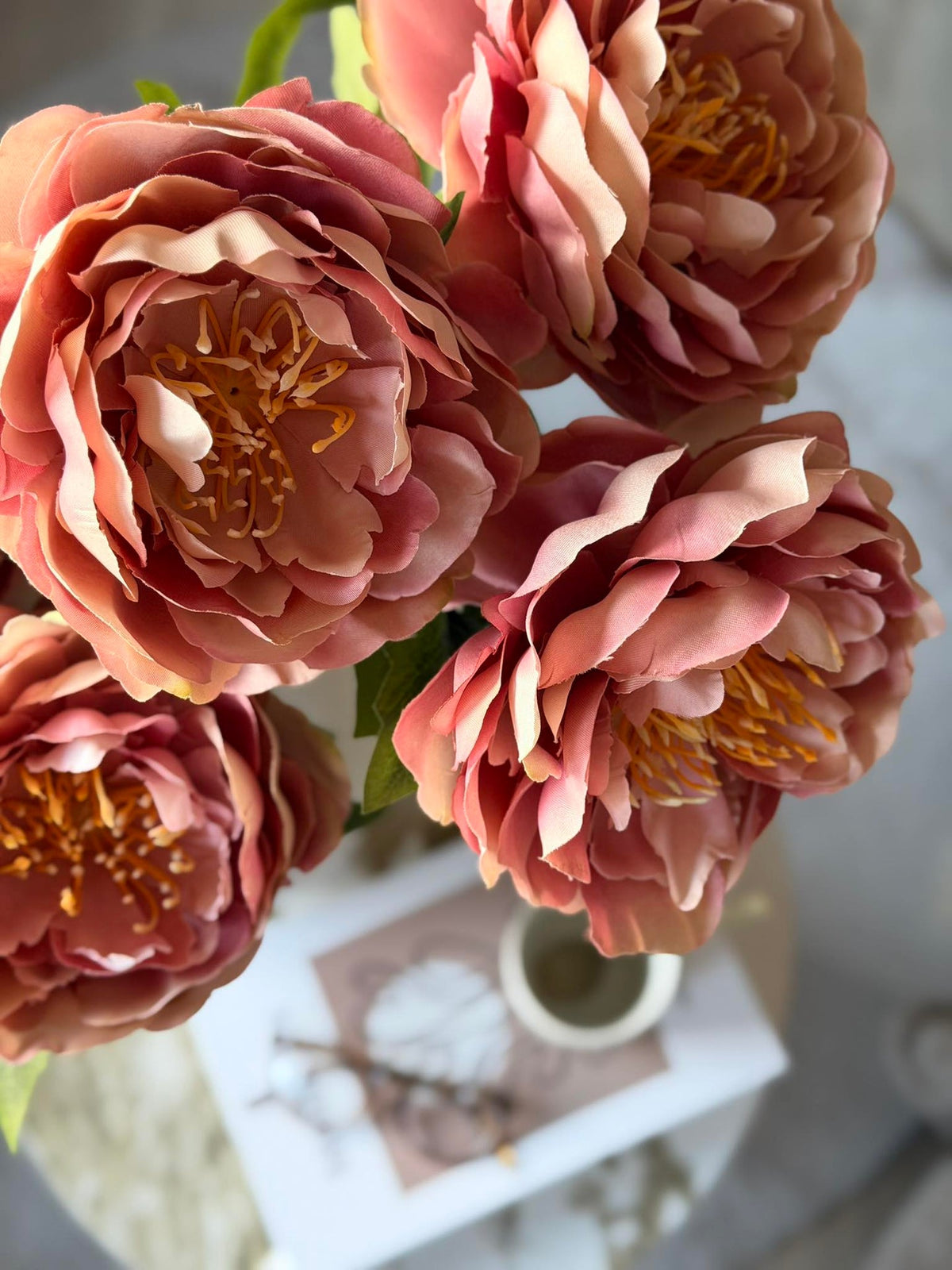 Bloem Pioen Roze