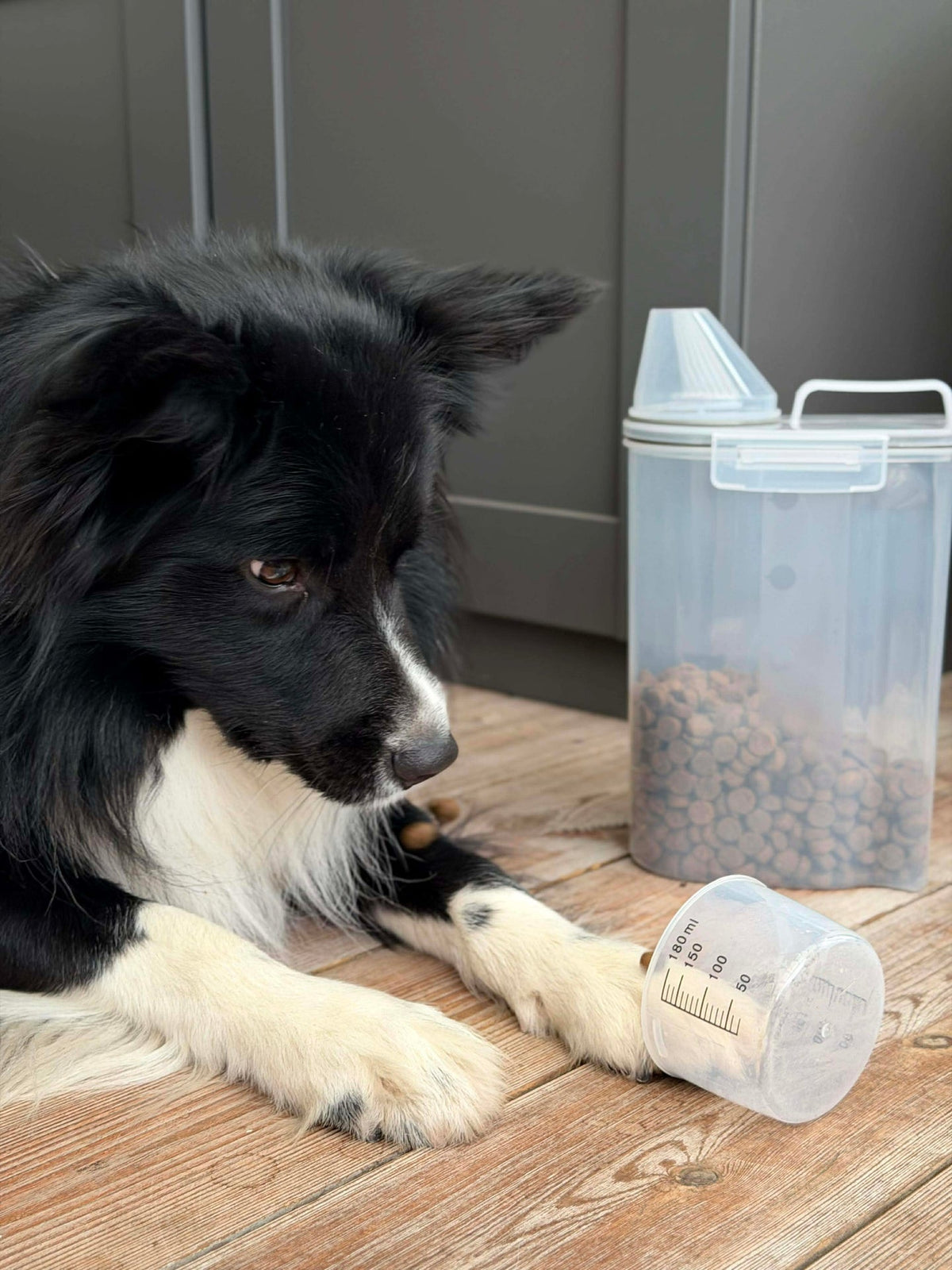 Bewaardoos m. Maatbeker voor dierenvoer