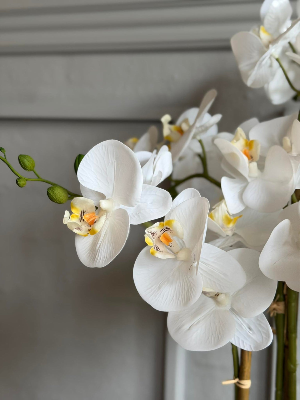 Orchidee in Pot 65 cm - Wit