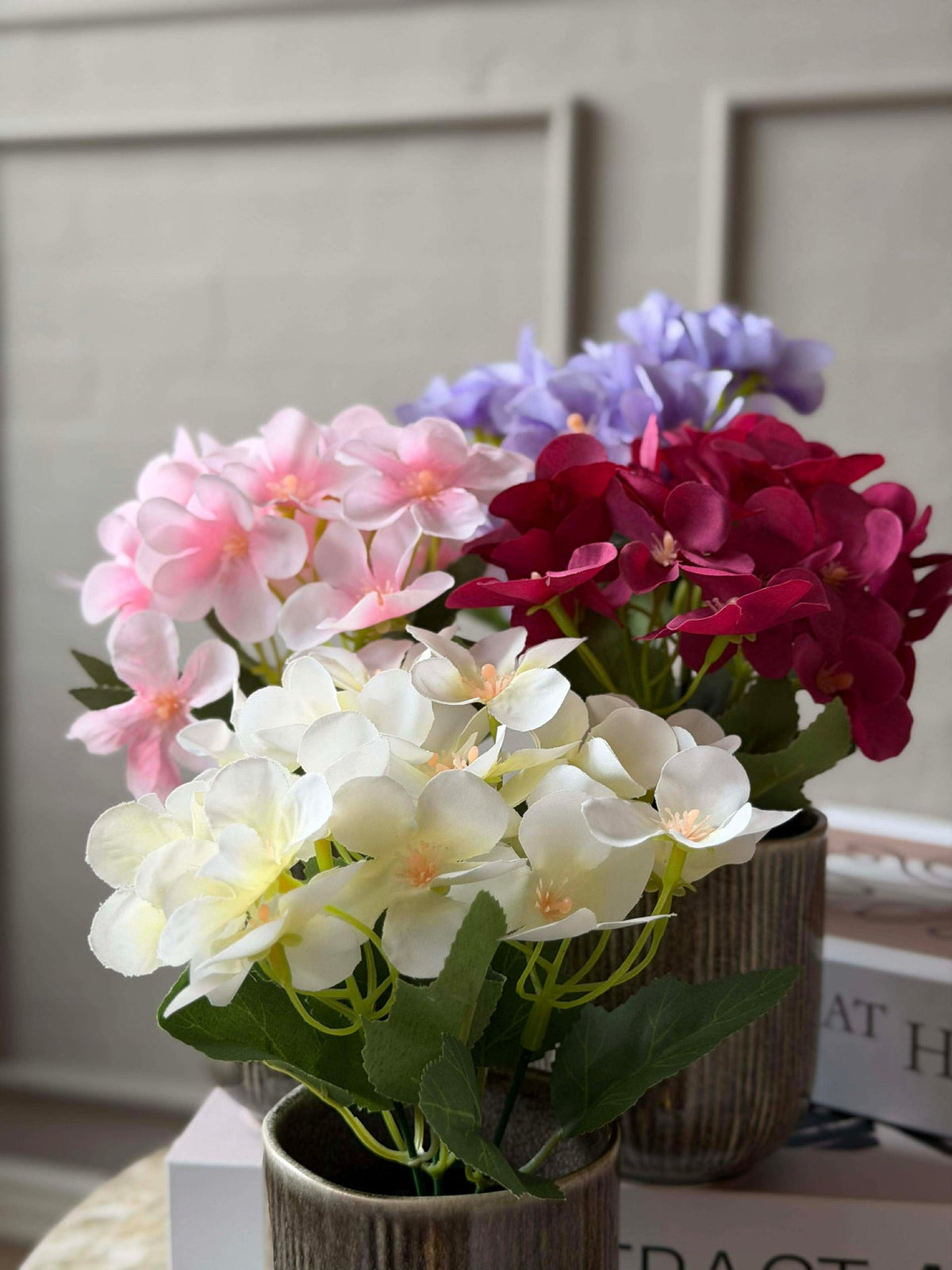 Mini hortensia in pot - meerdere kleuren