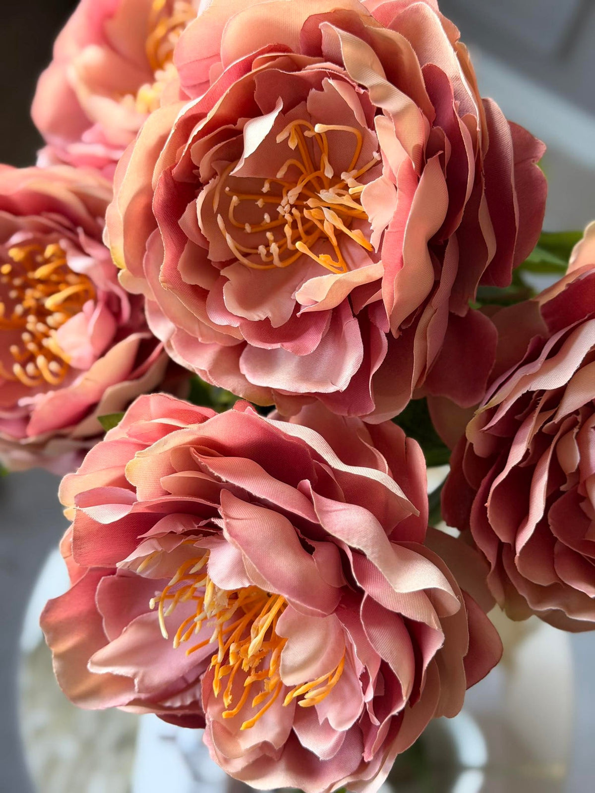 Bloem Pioen Roze