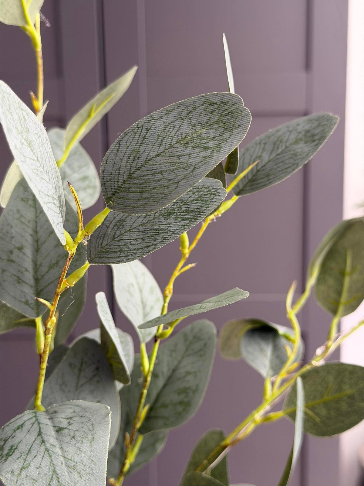 Eucalyptus tak met licht - 100cm